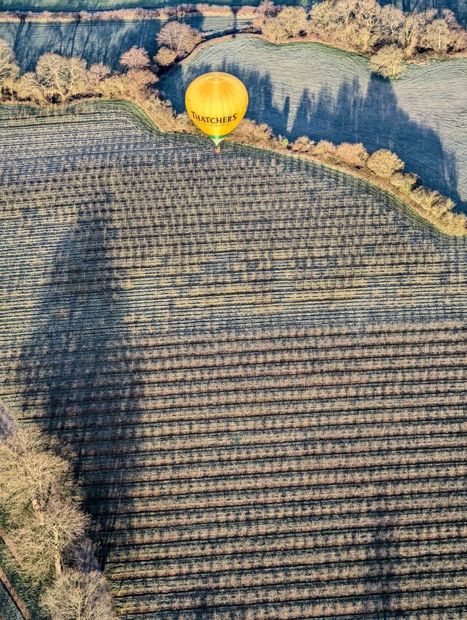 A balloon over Somerset cider orchards